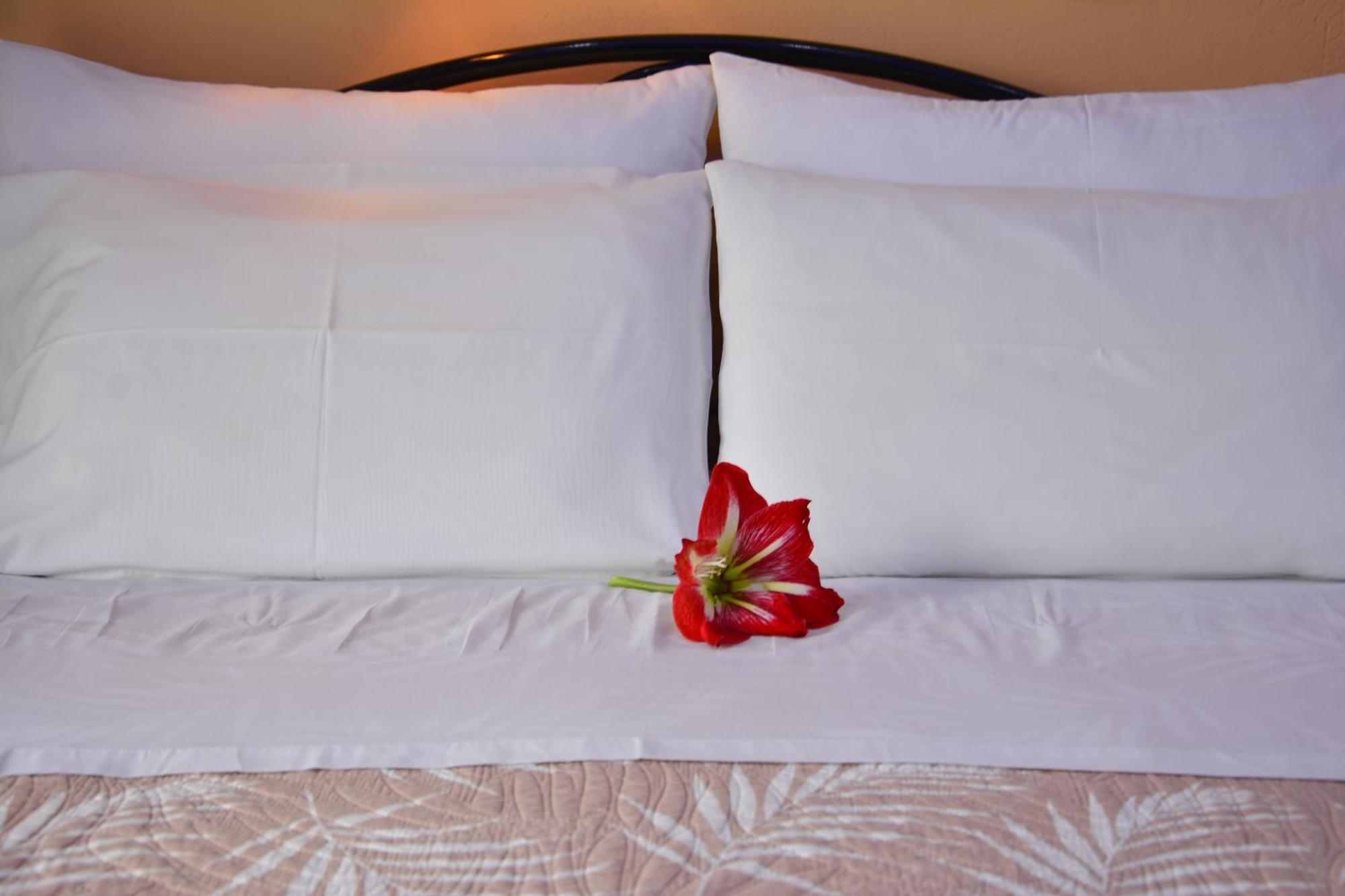 Appartamento Corfu Dream Fani *